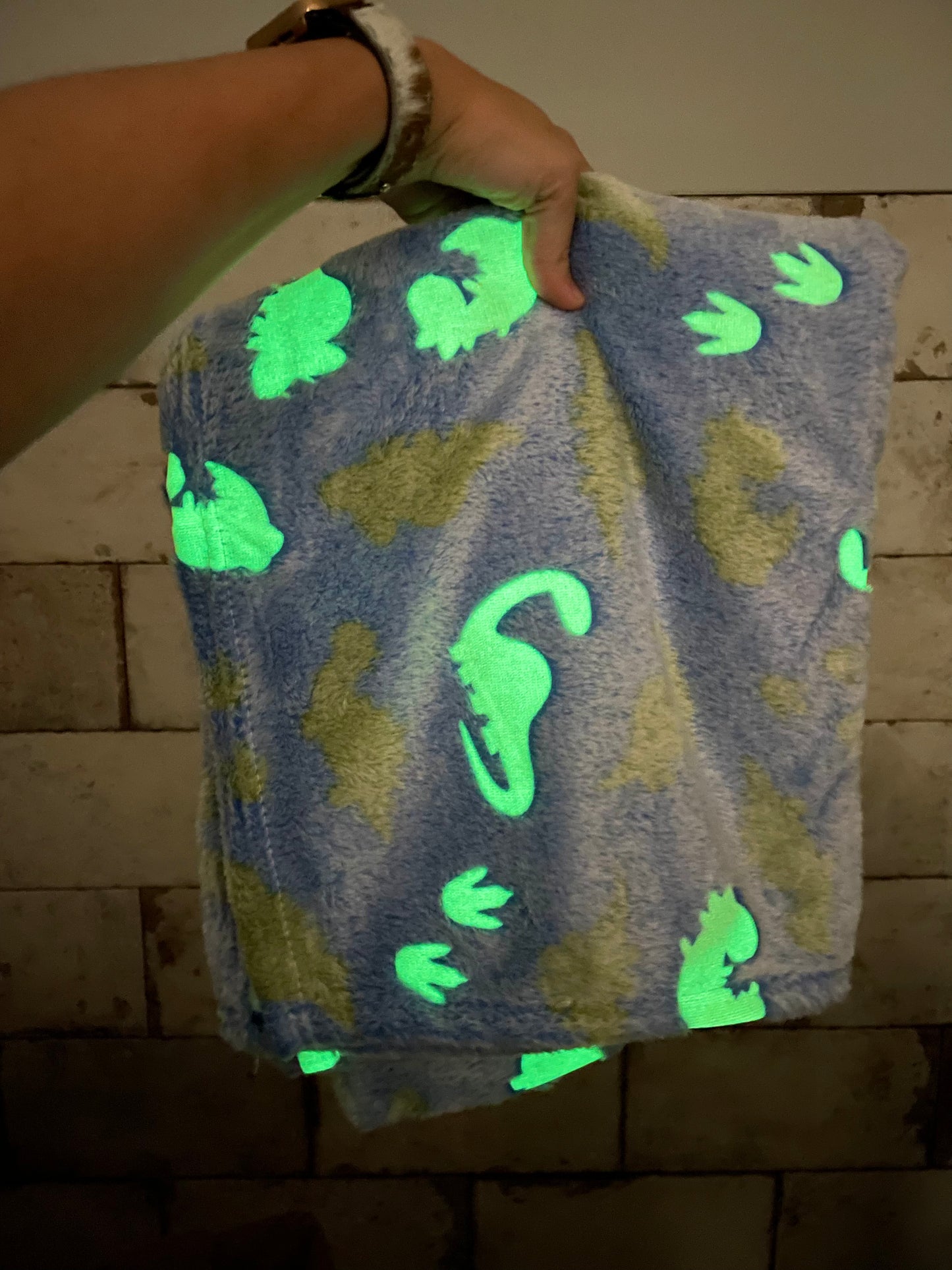 Glow in the Dark Dino Blanket